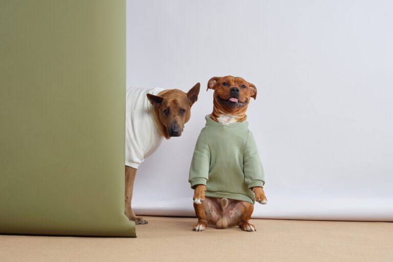 Pet Brand 3PL Fulfillment